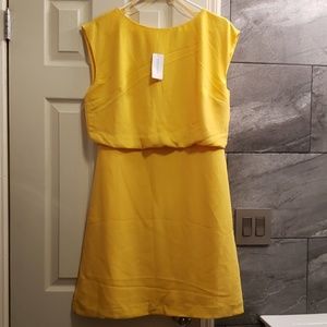 💫Banana Republic Cinch Waist Dress
